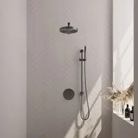 Brauer Stripe inbouw regendouche rond met 25cm hoofddouche, rond met rechte muurarm, glijstang en staafhanddouche set 43 gunmetal geborsteld PVD