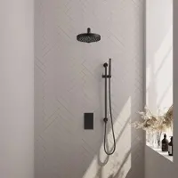 Brauer Stripe inbouw regendouche met 25cm hoofddouche, met rechte muurarm, glijstang en staafhanddouche set 19 zwart mat