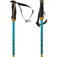 Völkl Phantastick Junior Stokken