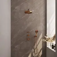 Brauer Stripe inbouw regendouche met 25cm hoofddouche, rechte muurarm en 3 standen handdouche set 4 koper geborsteld PVD