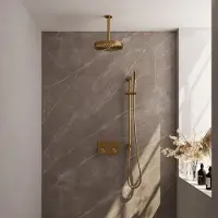 Brauer Stripe inbouw regendouche met 25cm hoofddouche, plafondarm, staafhanddouche en glijstang set 33 messing geborsteld PVD
