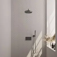 Brauer Stripe inbouw regendouche met 25cm hoofddouche, gebogen muurarm en staafhanddouche set 26 gunmetal geborsteld PVD