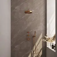 Brauer Stripe inbouw regendouche met 25cm hoofddouche, gebogen muurarm en staafhanddouche set 2 koper geborsteld PVD