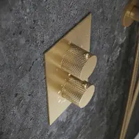 Saniclear Evolution Curved inbouw regendouche met 2 standen handdouche geborsteld messing - mat goud