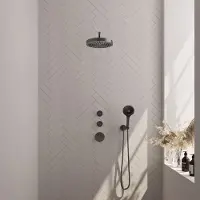 Brauer Stripe inbouw regendouche met 25cm hoofddouche, gebogen muurarm en 3 standen handdouche set 5 gunmetal geborsteld PVD