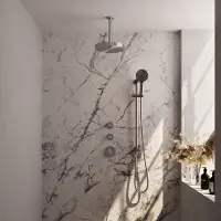Brauer Stripe inbouw regendouche met 25cm hoofddouche, plafondarm en 3 standen handdouche en glijstang set 12 RVS geborsteld PVD