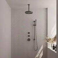 Brauer Stripe thermostatische inbouw regendouche SET 09 met 25 cm douchekop en plafondarm en staaf handdouche en doucheslang en geintegreerde glijstang gunmetal geborsteld PVD