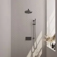 Brauer Stripe thermostatische inbouw regendouche met drukknoppen SET 31 met 25 cm douchekop en rechte muurarm en staaf handdouche en doucheslang en geintegreerde glijstang gunmetal geborsteld PVD