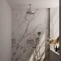 Brauer Stripe thermostatische inbouw regendouche met drukknoppen SET 30 met 25 cm douchekop en plafondarm en 3-standen handdouche en doucheslang en wandaansluitbocht RVS-kleurig geborsteld PVD