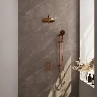 Brauer stripe thermostatische inbouw regendouche 3-weg rechthoekig set 22 met 25 cm douchekop en rechte muurarm en 3-standen handdouche en doucheslang