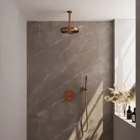 Brauer stripe thermostatische inbouw regendouche 3-weg rond set 39 met 25 cm douchekop en plafondarm en staaf handdouche en doucheslang en