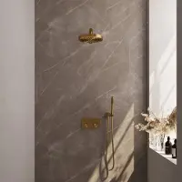 Brauer Stripe Inbouw Regendoucheset Met Drukknoppen - Rechte Wandarm - Staafhanddouche - Wandhouder - Geborsteld Goud PVD - Messing - Kranen, - Kranen, Douchekranen, Douchesets, Inbouw douchesets