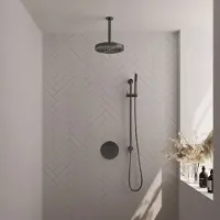 Brauer stripe thermostatische inbouw regendouche 3-weg rond set 45 met 25 cm douchekop en plafondarm en staaf handdouche en doucheslang en
