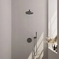 Brauer Stripe Inbouw Regendoucheset Rond - Rechte Wandarm - Staafhanddouche - Wandhouder - Geborsteld Gunmetal PVD - Messing - Kranen, Douchekranen, - Kranen, Douchekranen, Douchesets, Inbouw