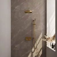 Brauer Stripe inbouw regendouche met 25cm hoofddouche, gebogen muurarm, staafhanddouche en glijstang set 32 messing geborsteld PVD