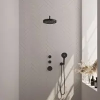 Brauer Stripe inbouw regendouche met 25cm hoofddouche, gebogen muurarm en 3 standen handdouche set 5 zwart mat