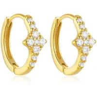 Elenza AMS Goudkleurige Elenza Oorbellen met Diamantjes – Luxe en Elegante Sieraden voor Dames