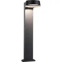 Paulmann LED tuinpadverlichting - tuinlamp Capea Grand, zwart, Aluminium, Modern, LED buitenlamp