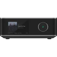 WIIM Amp Ultra - Grijs