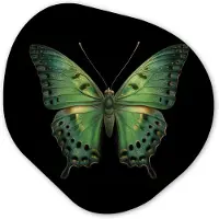 MuchoWow Organische wanddecoratie 40x40 cm - Organisch schilderij Vlinder - Groen - Diepte - Muurdecoratie woonkamer - Kamer decoratie - Schilderijen - Muurcirkel aesthetic
