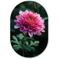 MuchoWow Muurovaal 80x120 cm - Ovale wanddecoratie Blad - Chrysant - Roze - Schaduw - Ovalen schilderij - Muurdecoratie woonkamer - Kamer decoratie - Schilderijen - Wandcirkel