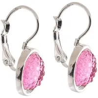 Behave – Oorbellen – Roze Fuchsia – Rond – Facetlook – Zilverkleurig