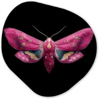 MuchoWow Organische wanddecoratie 90x90 cm - Organisch schilderij Vlinder - Roze - Nachtvlinder - Muurdecoratie woonkamer - Kamer decoratie - Schilderijen - Muurcirkel aesthetic