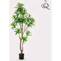 Everspring Kunstplant - Dracaena - Drakenboom - 155 cm