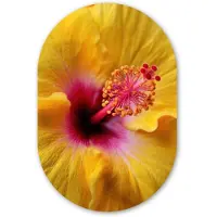 MuchoWow Muurovaal 80x120 cm - Ovale wanddecoratie Geel - Hibiscus - Tropisch - Ovalen schilderij - Muurdecoratie woonkamer - Kamer decoratie - Schilderijen - Wandcirkel