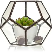 Awgifts Glazen terrarium - grote achthoek
