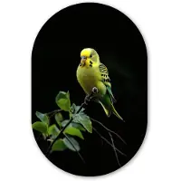 MuchoWow Muurovaal 80x120 cm - Ovale wanddecoratie Parkiet - Tak - Bladeren - Geel - Ovalen schilderij - Muurdecoratie woonkamer - Kamer decoratie - Schilderijen - Wandcirkel