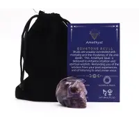 Ancient Wisdom Edelsteen Kleine Schedel - Amethist - 40x30x28mm