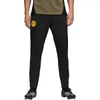 Puma Sportbroek 'Borussia Dortmund 25/26' olijfgroen / zwart