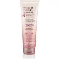 Giovanni 2chic Frizz Be Gone Shampoo 250 ml
