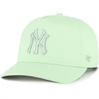 47 Mlb New York Yankees Hitch Pet