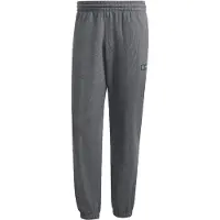 Adidas Sportbroek 'Mercedes - AMG Petronas Formula One Team Premium' donkergrijs / lichtgroen / zwart