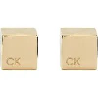 Calvin Klein - Rvs Oorbellen Voor Dames