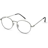 Readr Leesbril . OVAL met blauwlichtfilter - Sterkte +4.00 - Kleur Shiny Silver - lichtmetalen frame & flexveren - comfortabele pasvorm - inclusief etui & koordje