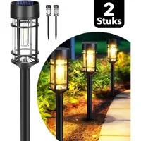 Vicon Solar Tuinverlichting op Zonne energie - 2-Pack - 12 uur Gebruikstijd - Buitenlamp - Tuinlamp - Tuinfakkels - Lantaarn voor buiten