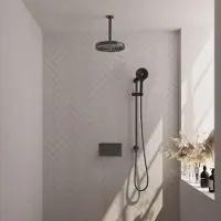 Brauer stripe thermostatische inbouw regendouche met drukknoppen set 36 met 25 cm douchekop en plafondarm en 3-standen handdouche en doucheslang en