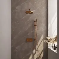Brauer stripe thermostatische inbouw regendouche met drukknoppen set 31 met 25 cm douchekop en rechte muurarm en staaf handdouche en doucheslang en