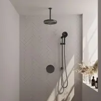 Brauer Stripe Inbouw Regendoucheset Rond - 20cm Plafondbuis - 3-standen Handdouche - Glijstang - Geborsteld Gunmetal PVD - Messing - Kranen, - Kranen, Douchekranen, Douchesets, Inbouw douchesets