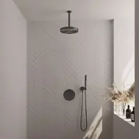 Brauer Stripe thermostatische inbouw regendouche 3-weg rond SET 39 met 25 cm douchekop en plafondarm en staaf handdouche en doucheslang en wandaansluitbocht gunmetal geborsteld PVD