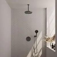 Brauer stripe thermostatische inbouw regendouche 3-weg rond set 42 met 25 cm douchekop en plafondarm en 3-standen handdouche en doucheslang en