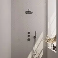 Brauer Stripe Inbouw Regendoucheset Met 2 Stopkranen - Gebogen Wandarm - Staafhanddouche - Wandhouder - Geborsteld Gunmetal PVD - Messing - Kranen, - Kranen, Douchekranen, Douchesets, Inbouw
