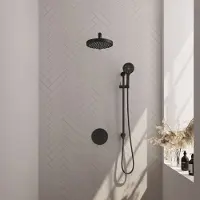 Brauer Stripe Inbouw Regendoucheset Rond - Rechte Wandarm - 3-standen Handdouche - Glijstang - Mat Zwart - Messing - Kranen, Douchekranen, Douchesets, - Kranen, Douchekranen, Douchesets, Inbouw