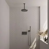 Brauer stripe thermostatische inbouw regendouche met drukknoppen set 27 met 25 cm douchekop en plafondarm en staaf handdouche en doucheslang en
