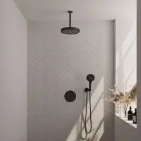 Brauer Stripe Inbouw Regendoucheset Rond - 20cm Plafondbuis - 3-standen Handdouche - Wandhouder - Mat Zwart - Messing - Kranen, Douchekranen, - Kranen, Douchekranen, Douchesets, Inbouw douchesets