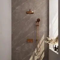 Brauer Stripe thermostatische inbouw regendouche met drukknoppen SET 34 met 25 cm douchekop en rechte muurarm en 3-standen handdouche en doucheslang en geintegreerde glijstang koper geborsteld PVD
