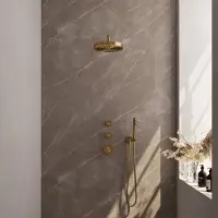 Brauer Stripe Inbouw Regendoucheset Met 2 Stopkranen - Gebogen Wandarm - Staafhanddouche - Wandhouder - Geborsteld Goud PVD - Messing - Kranen, - Kranen, Douchekranen, Douchesets, Inbouw douchesets